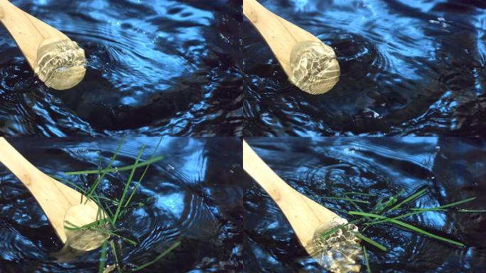 桨与草一起在水中移动