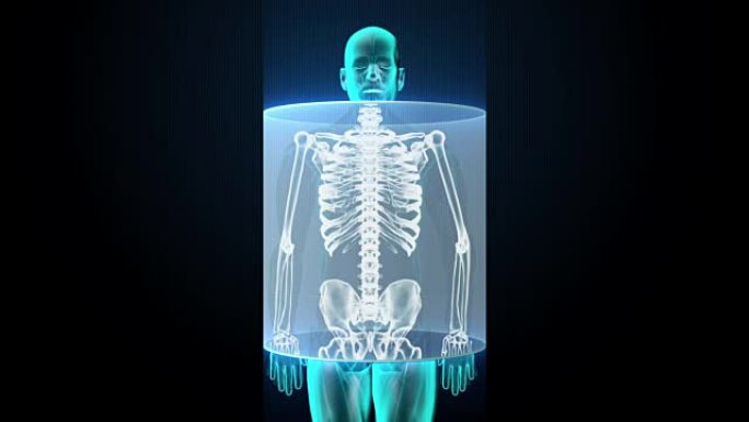 人体骨骼结构，骨骼系统，x射线光。