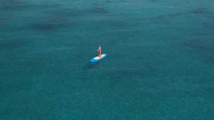 空中: 活跃的年轻女冲浪者在热带海洋中站立划板