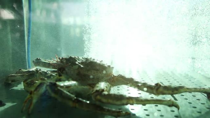 挪威卑尔根鱼市的帝王蟹