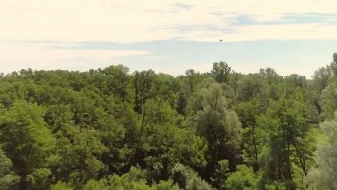 空中无人机飞越树木