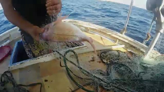 渔夫在渔船上解开网鱼