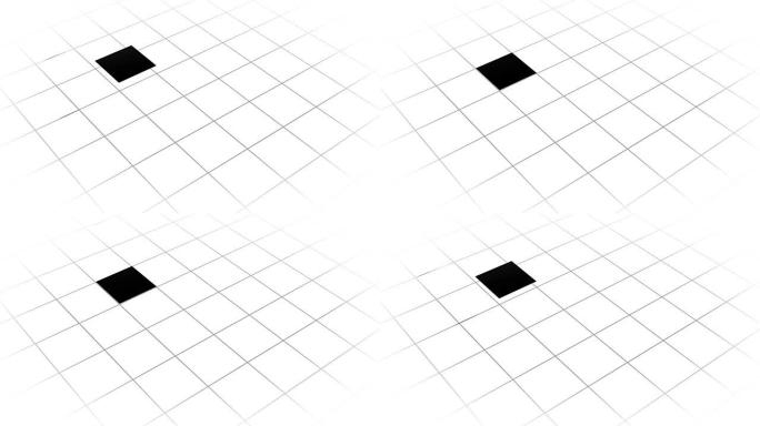 黑白网格中正方形的动画