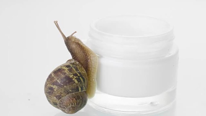 近距离观察，一只蜗牛飞快地奔向一罐护肤霜。产品理念:保湿霜，完美肌肤，蜗牛点心。