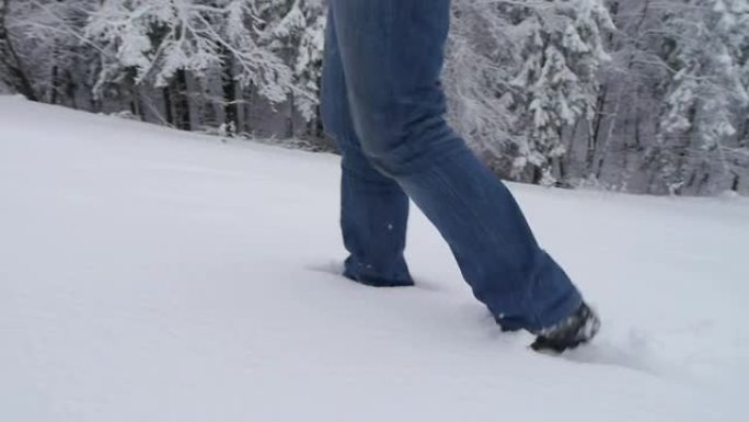 在雪地上行走