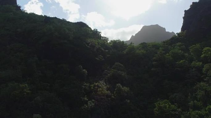 4K空中近距离拍摄:在一个阳光明媚的日子里，在美丽的热带岛屿上，飞行在茂密的丛林山上