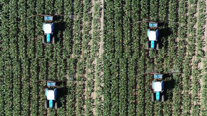 拖拉机喷洒农药的蔬菜作物的鸟瞰图
