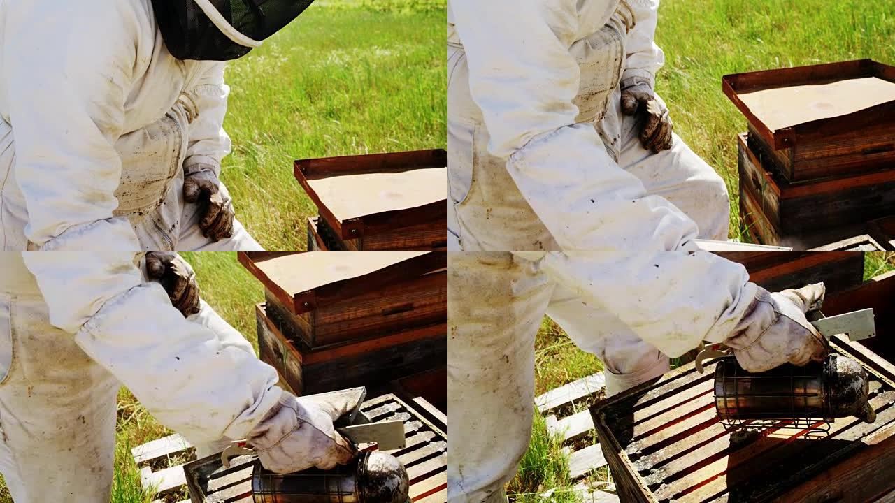 养蜂人抽着蜜蜂蜂巢