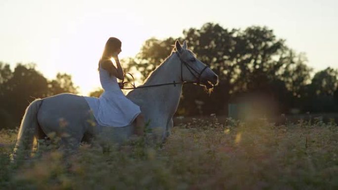 特写: 日出时穿着白色连衣裙的女孩在开花的粉红色田野里骑马