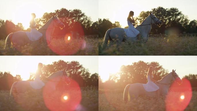特写: 日出时穿着白色连衣裙的女孩在开花的粉红色田野里骑马
