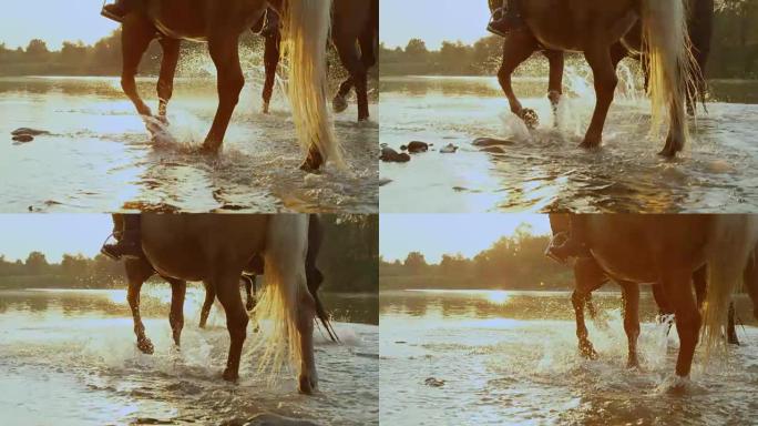 慢动作: 两匹马与骑手在金光日落时在河中飞溅