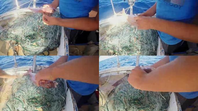 渔夫从渔船上的网中解开鱼