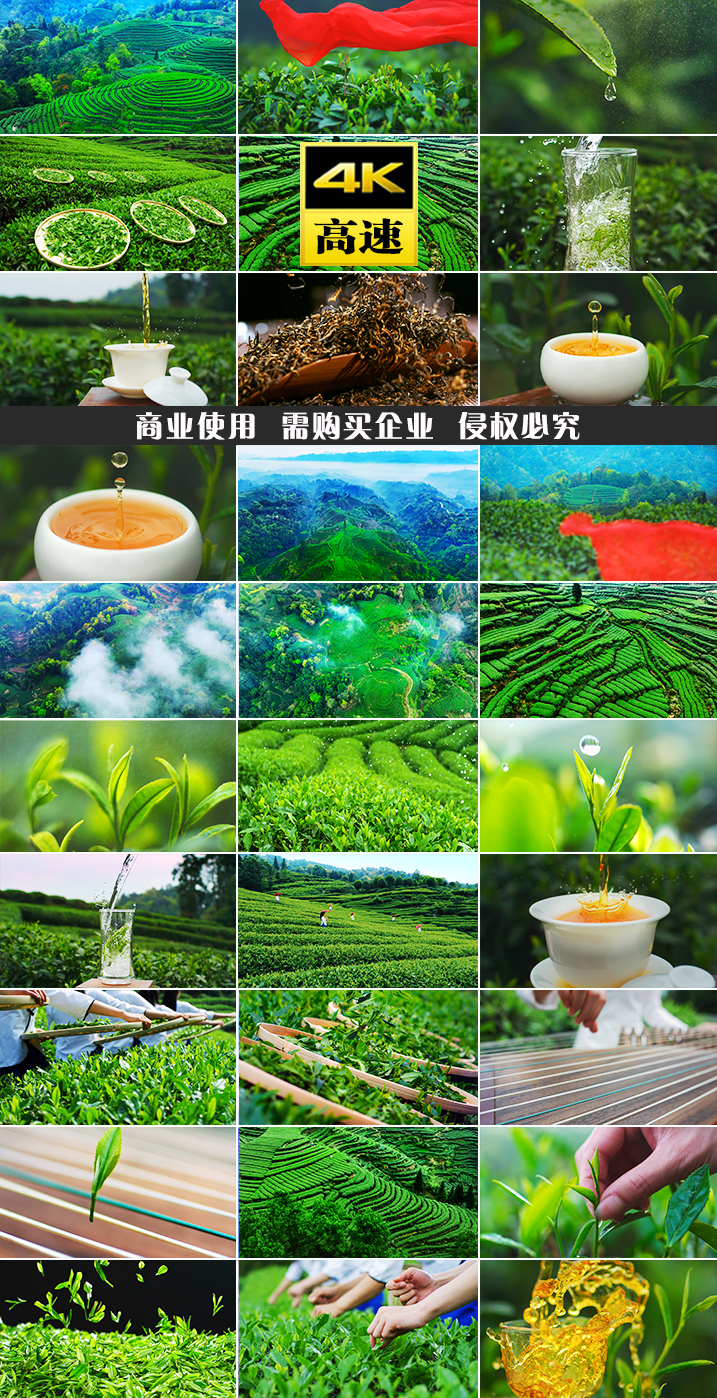 茶叶茶艺茶园采茶茶红茶滴水龙井水滴茶道茶