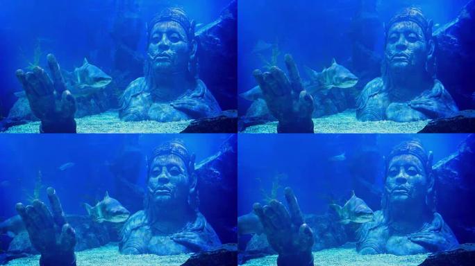 鲨鱼在淹没的古代雕像附近游泳
