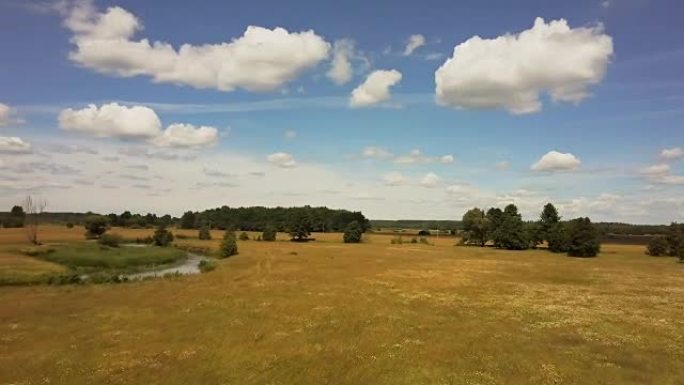 无人机低空飞行，在郁郁葱葱的草地上平移。用小树和河流拍摄宁静阳光明媚的田野。4K