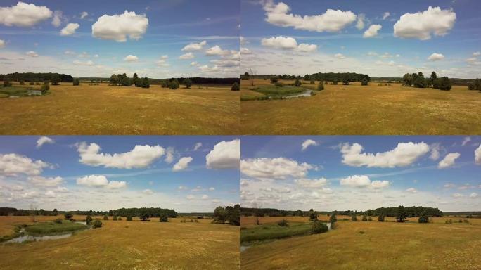无人机低空飞行，在郁郁葱葱的草地上平移。用小树和河流拍摄宁静阳光明媚的田野。4K