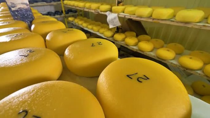 仓库里的黄色大轮奶酪。