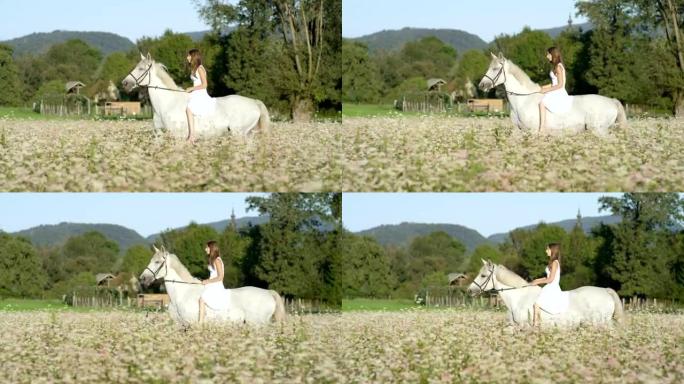 慢动作: 穿着白裙的快乐女孩在盛开的田野里骑着白马