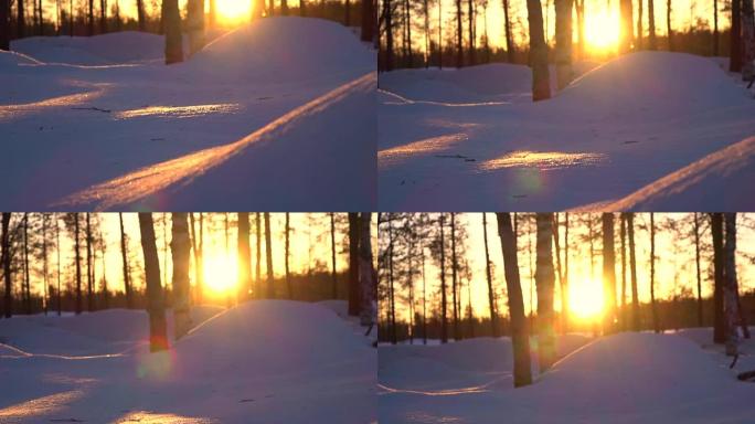 冬季，日出的光芒照耀在白雪皑皑的白桦林中的裸露树梢上