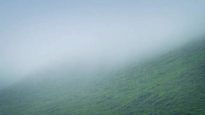 雨中朦胧的山坡