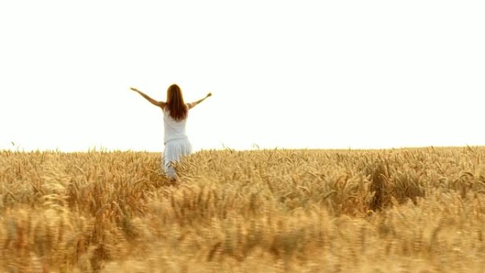 高清慢动作: 小麦中的幸福女人