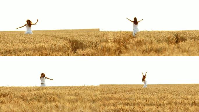 高清慢动作: 小麦中的幸福女人