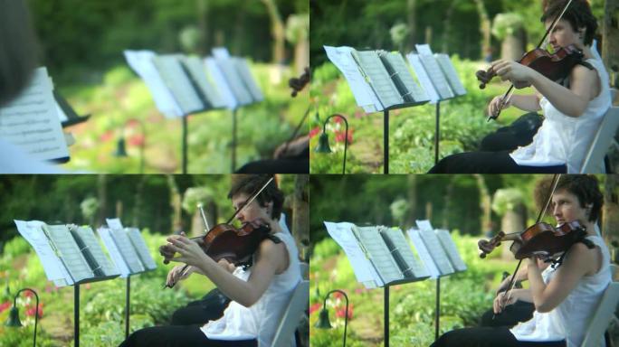 高清：小提琴家在户外表演