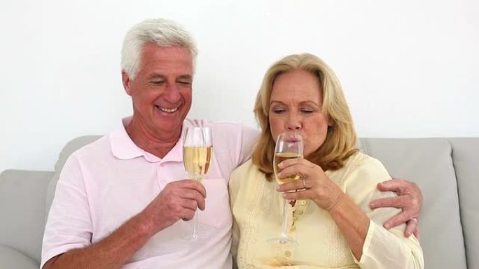 退休夫妇在沙发上喝白酒