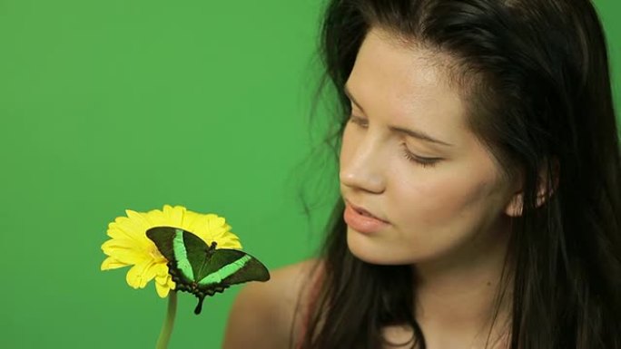 绿色蝴蝶的美女黄色花绿色条纹蝴蝶