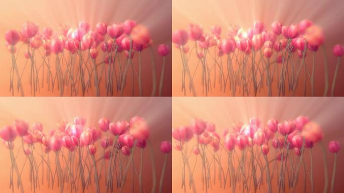 Glowing Tulips Loop 016A橙色