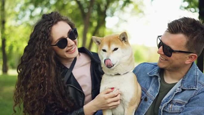 快乐的情侣慢动作亲吻美丽的狗，笑着坐在公园的草地上聊天，享受夏天。爱动物、关系和休闲概念。