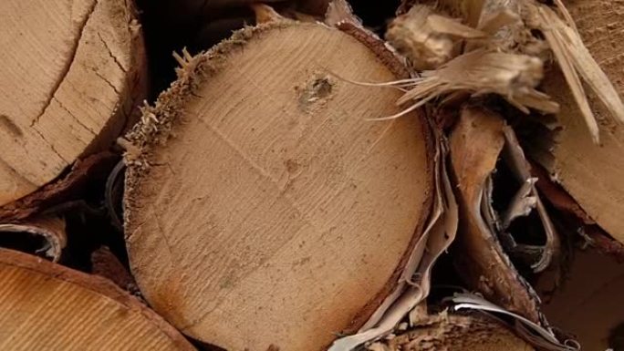 特写: 令人惊叹的桦木切成原木，堆放在木材场上