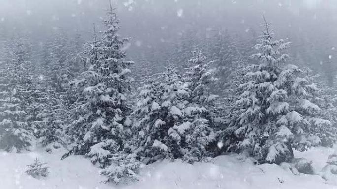 冬天公园里的雪