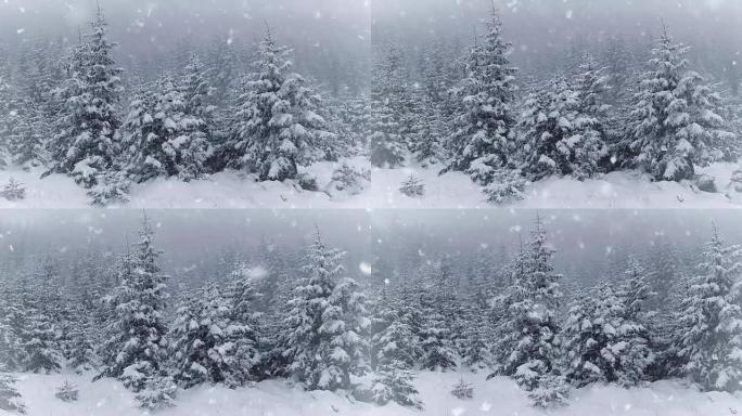 冬天公园里的雪