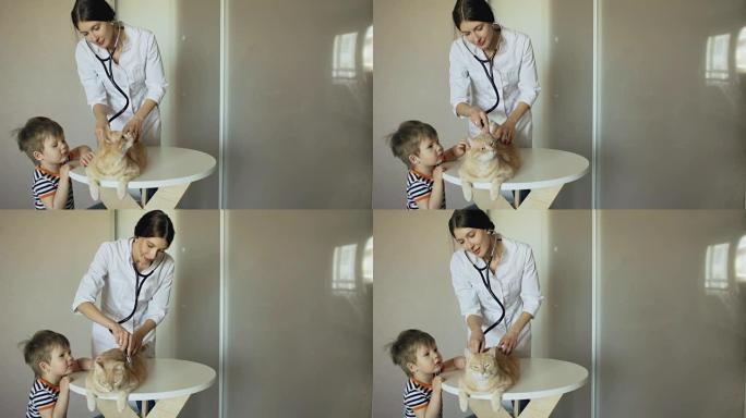 兽医在医疗办公室与小男孩主人一起检查猫
