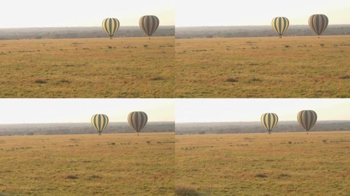 空中: 热气球野生动物园漂浮在稀树草原上的斑马群上方