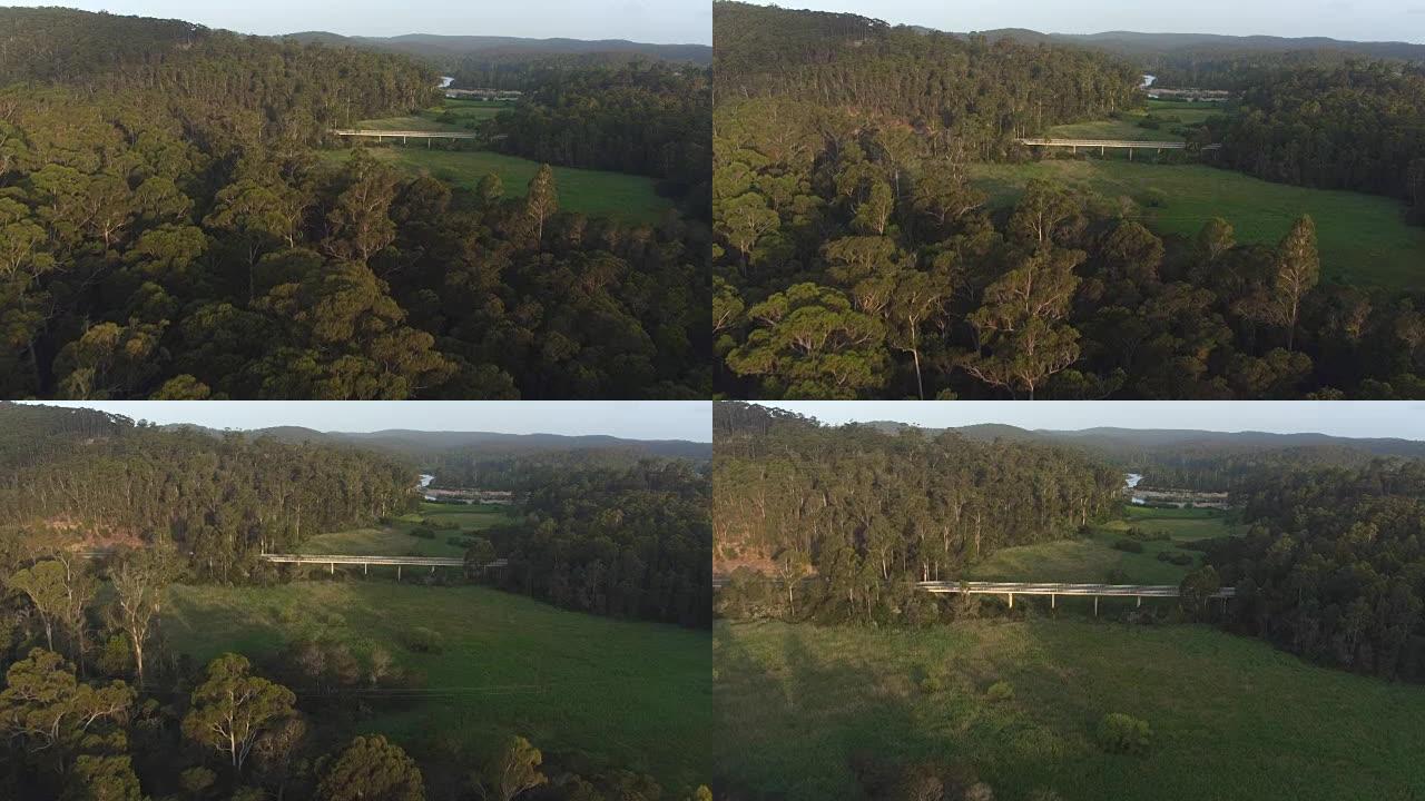 空中: 通往广阔绿色沼泽景观的桥路