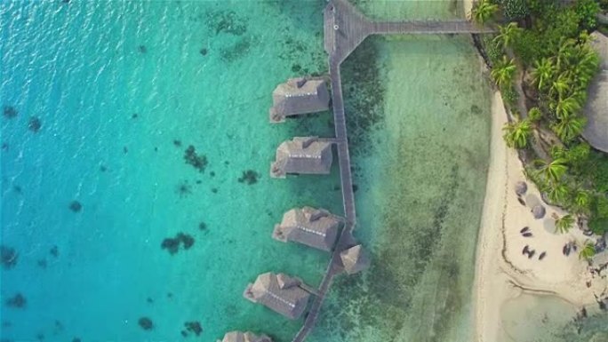 航拍:豪华的水上别墅和海滨别墅面对着蓝绿色的环礁湖海洋，前面是异国情调的白色沙滩和高大的棕榈树，位于