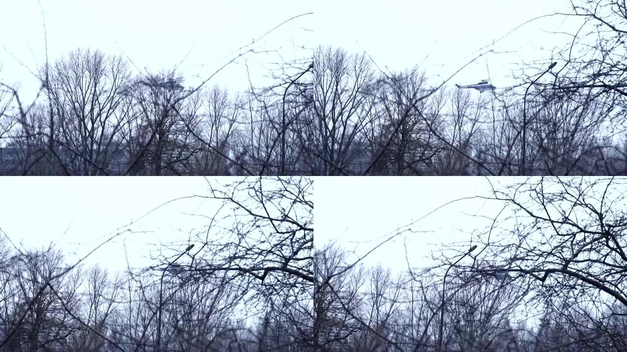 直升机在树顶上方飞行