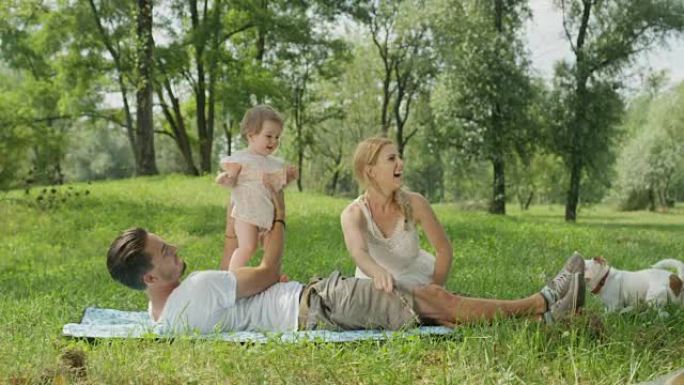 慢动作: 完美的家庭坐在公园的毯子上与狗玩耍