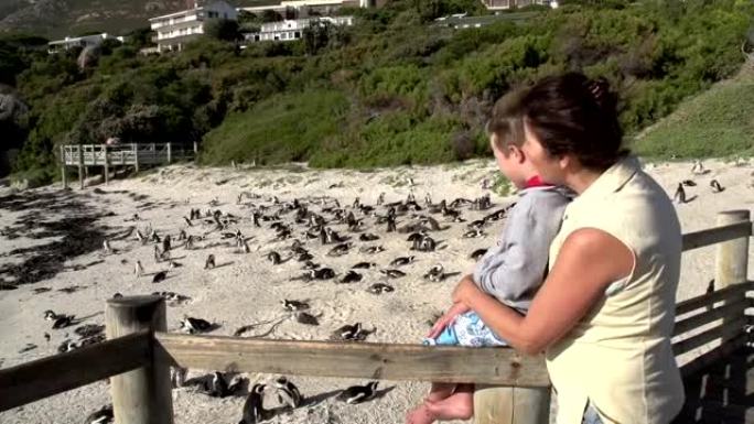 母亲和孩子看着开普敦巨石海滩的非洲企鹅