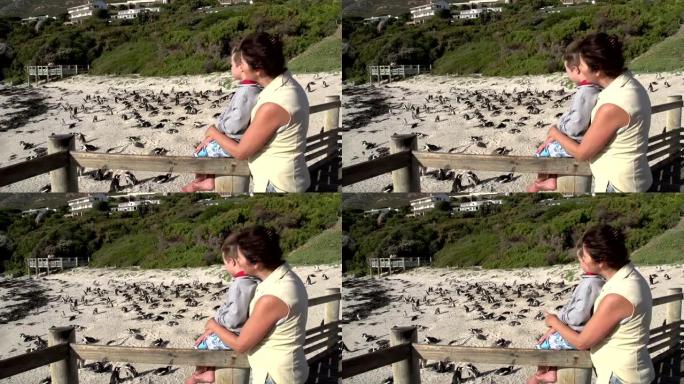 母亲和孩子看着开普敦巨石海滩的非洲企鹅