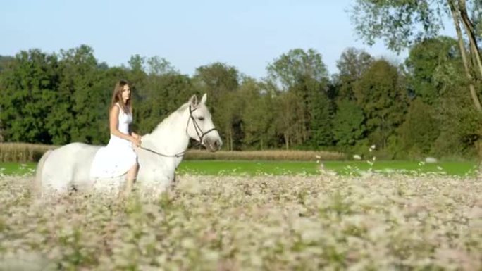 慢动作: 穿着白色连衣裙的女孩在盛开的田野里骑着白马