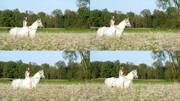 慢动作: 穿着白色连衣裙的女孩在盛开的田野里骑着白马