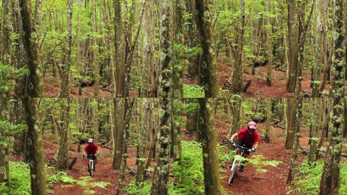 山地自行车森林步道。年轻健康的人骑山地自行车快速激烈的赛道。户外活跃的夏季生活方式。斯蒂安卡姆开枪。