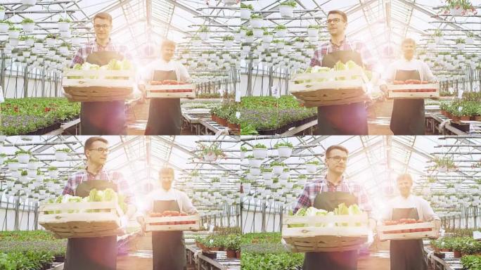 两名工业大棚工人提着装满蔬菜的箱子。人们对他们正在种植的有机食品微笑和快乐。