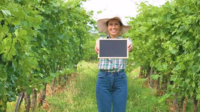 女孩在9月收获葡萄园，收集精选的葡萄串在意大利大丰收。生物概念id，有机食品和优质葡萄酒手工制作