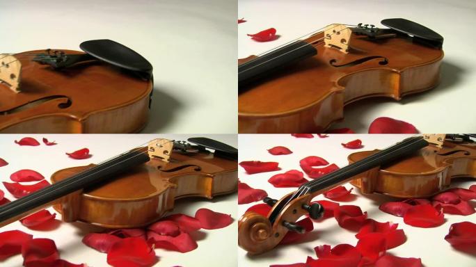小提琴多莉白色宽版