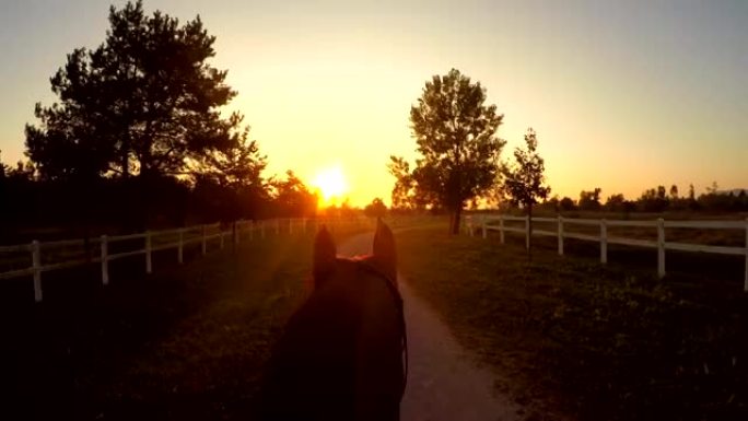 FPV: 骑马在农场上骑着惊人的深棕色马进入金色的日落