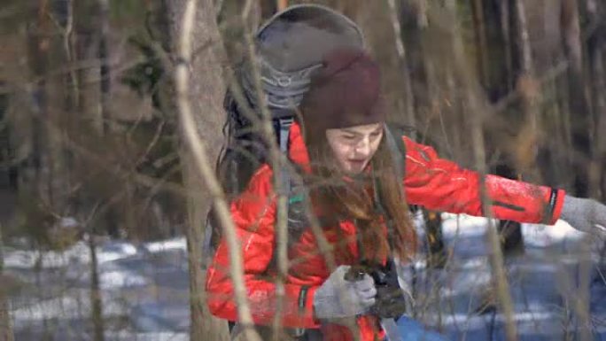 女性徒步旅行者在冬季森林徒步旅行。旅行，徒步旅行，极限运动概念。